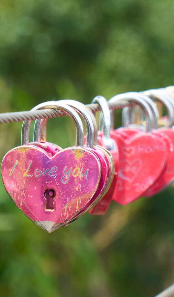 Замки влюбленных на канате у моста 