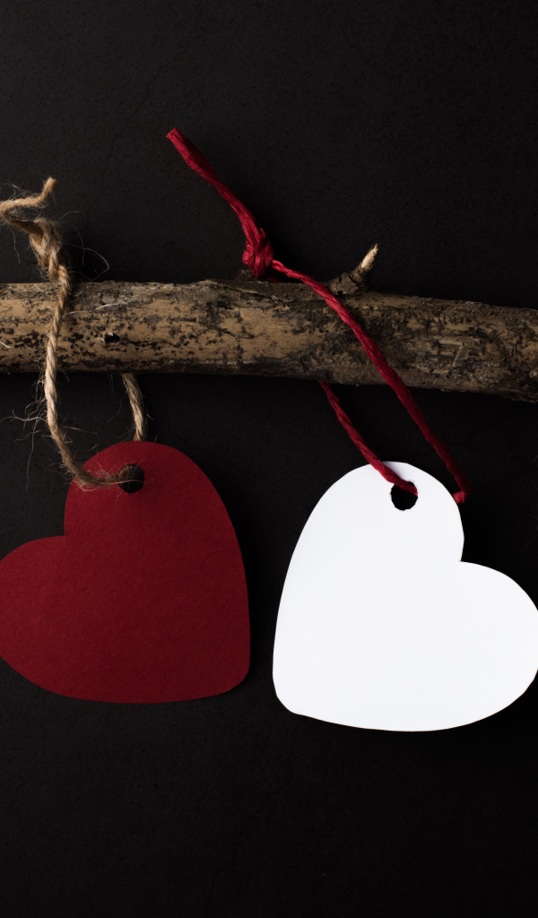 Бумажные сердечки на ветке на черном фоне