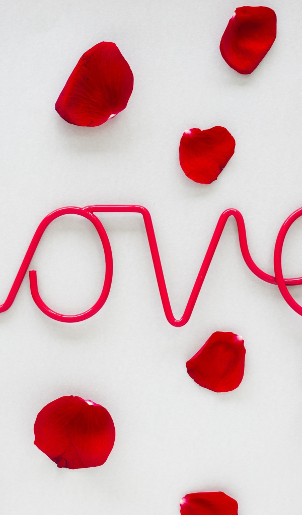 Розовая надпись Love на сером фоне с лепестками розы 