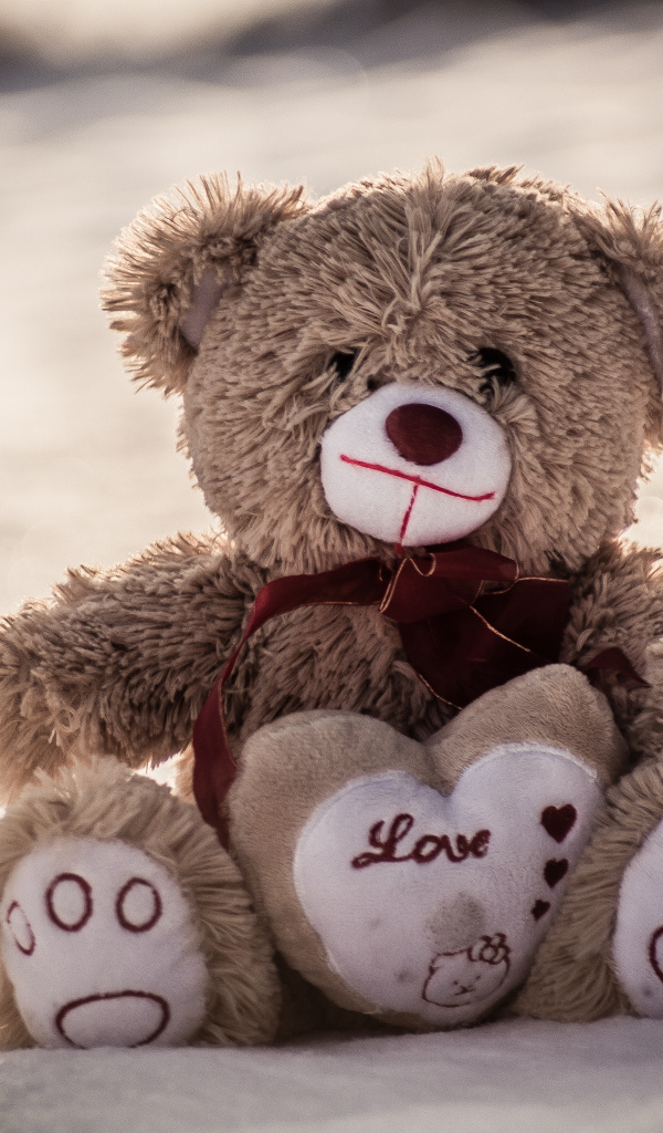 Медвежонок Тедди сидит на песке