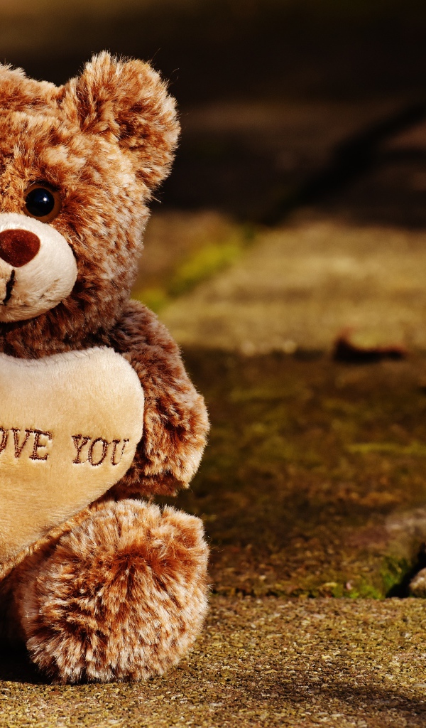 Игрушечный медведь с сердцем сидит на дороге 