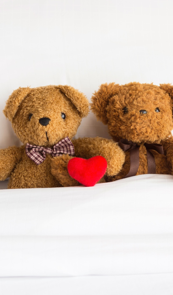 Два медвежонка Тедди лежат на кровати под одеялом 