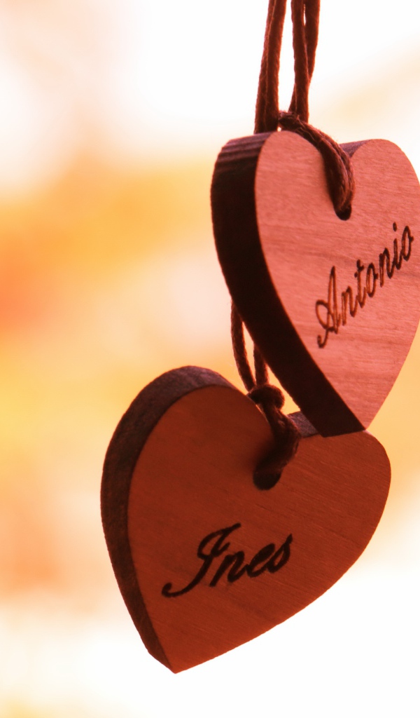 Два деревянных сердца на веревке  