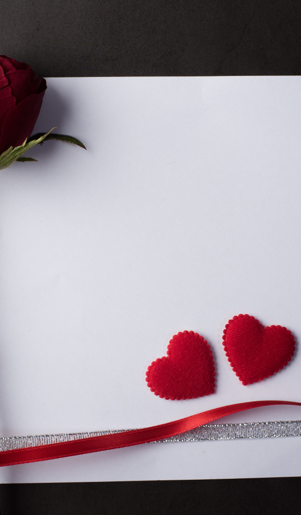 Белый лист бумаги, роза и ленточки на сером фоне