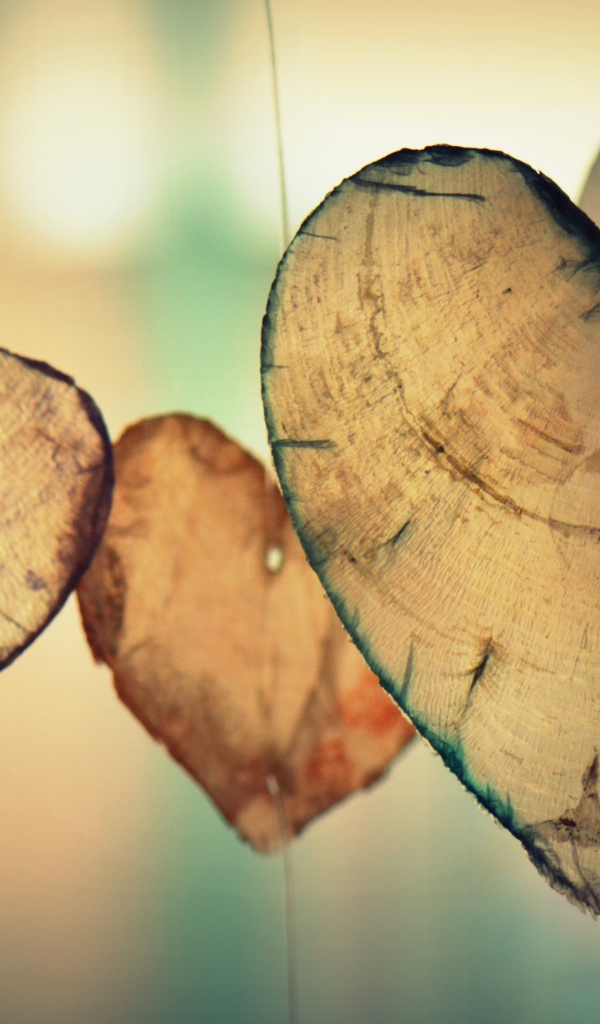 Деревянные сердечки на леске в воздухе