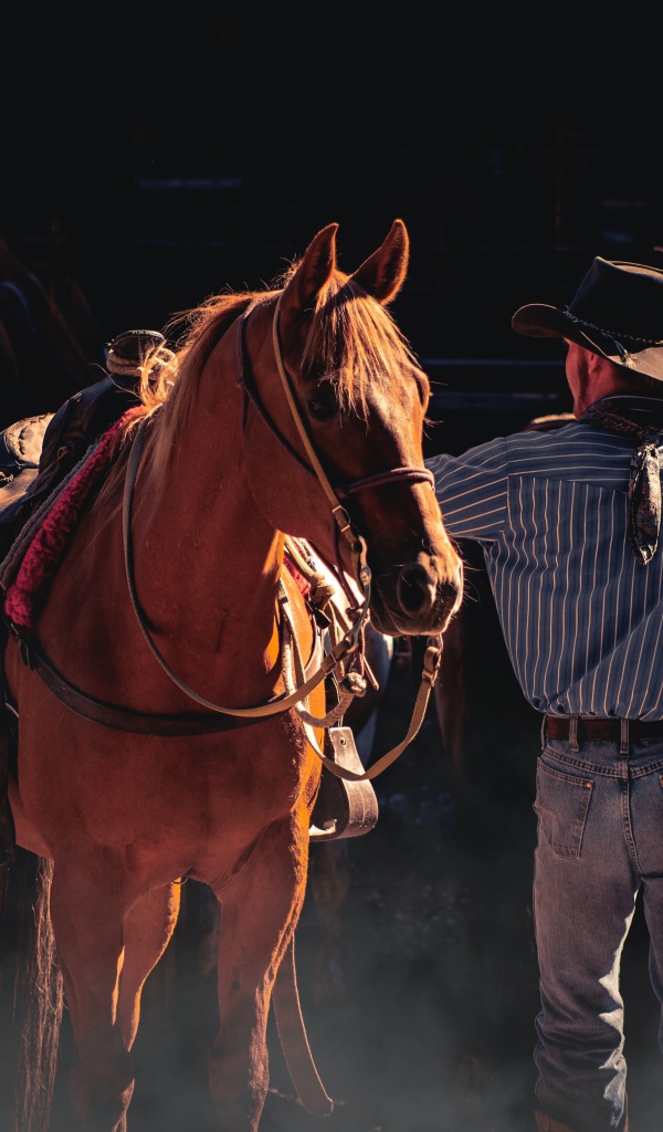 Мужчина ковбой с коричневой лошадью 