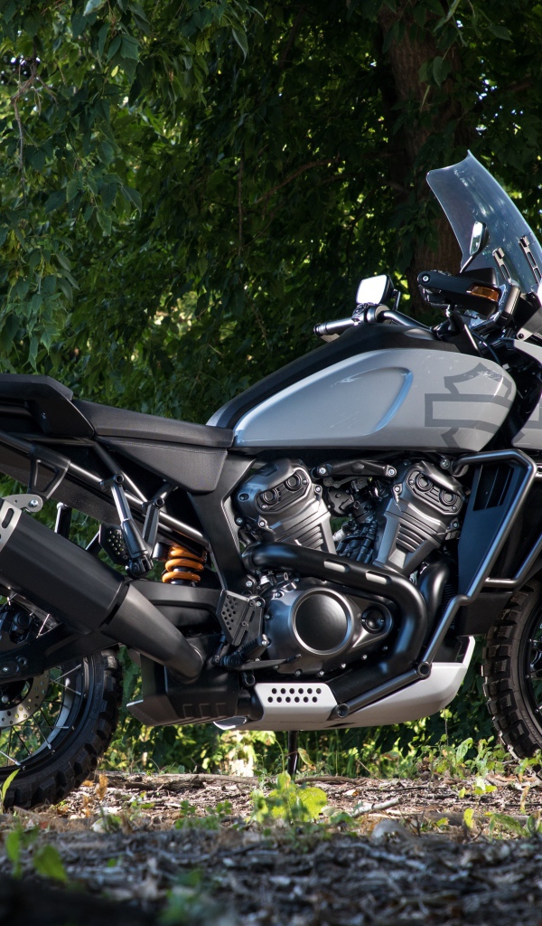 Мотоцикл Harley-Davidson в парке 