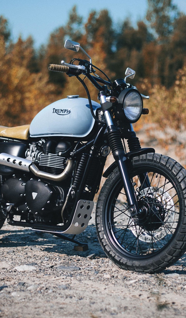 Мотоцикл Triumph Bonneville на дороге в лесу 