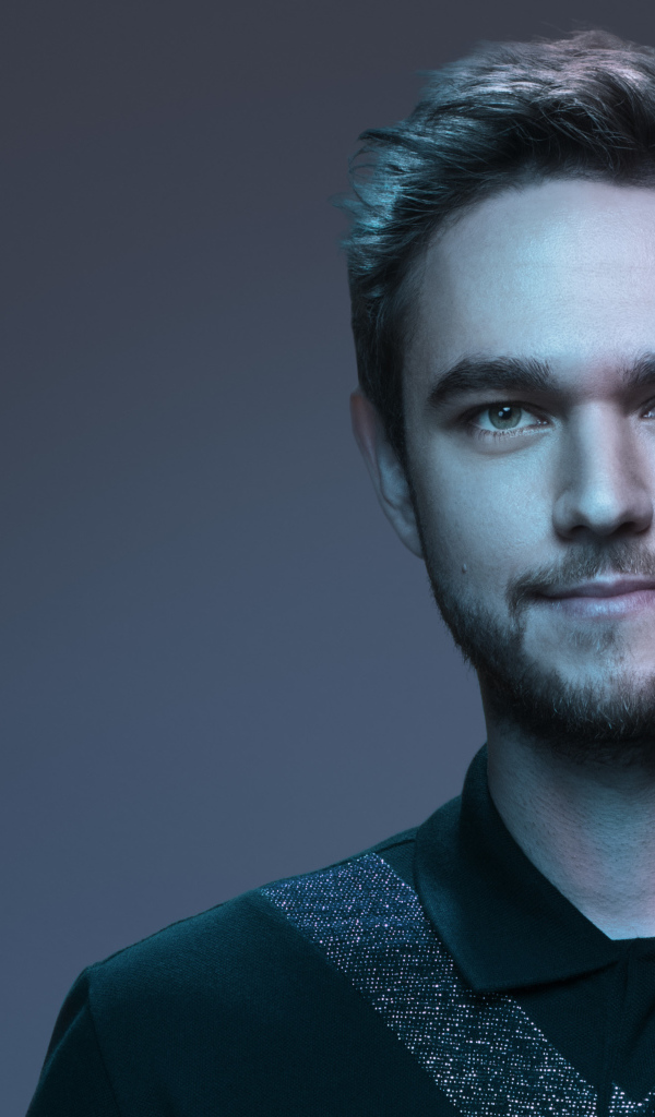 Мужчина, немецкий диджей Zedd на сером фоне