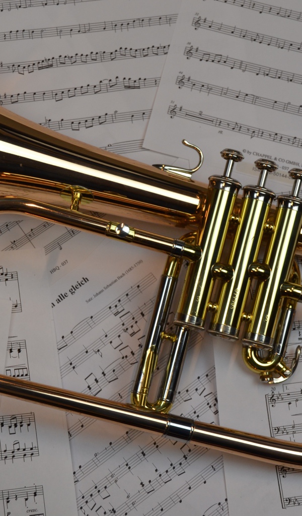 Musical instrument trumpet lies on notes