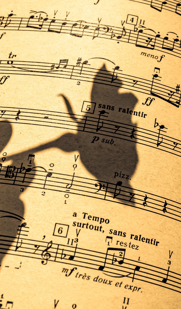 Тень розы на нотной тетради 