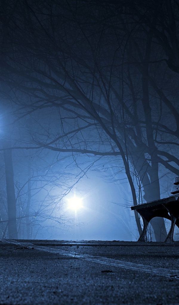Лавочка в холодном ночном парке 
