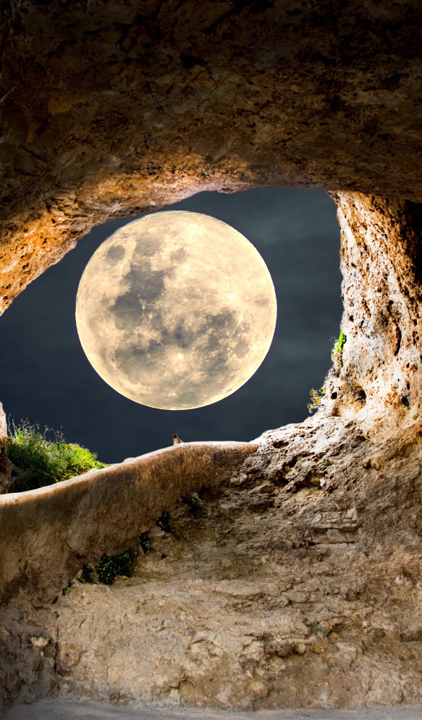 Большая белая луна освещает проход в пещеру 