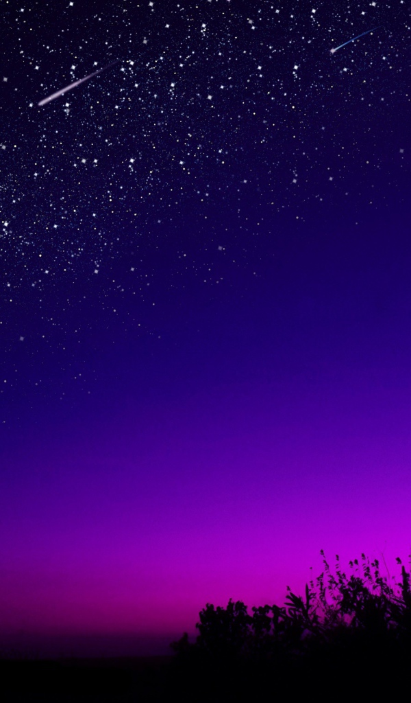 Месяц в звездном ночном небе над лесом