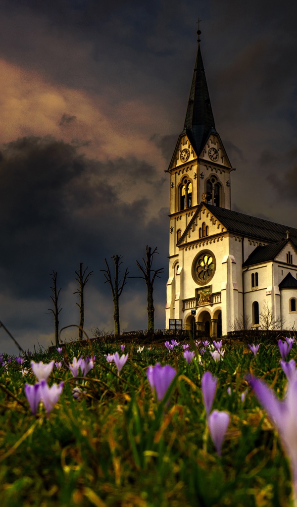 Старая часовня стоит на холме с цветами 