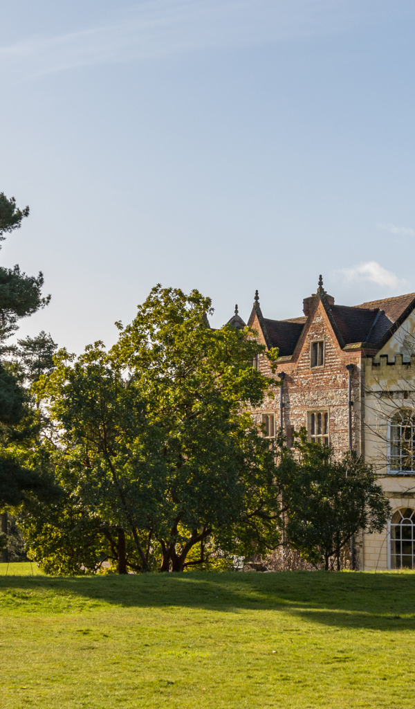 Красивый дом с деревьями и зеленым газоном