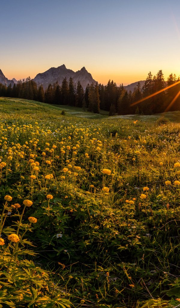 Красивый горный пейзаж солнечным днем