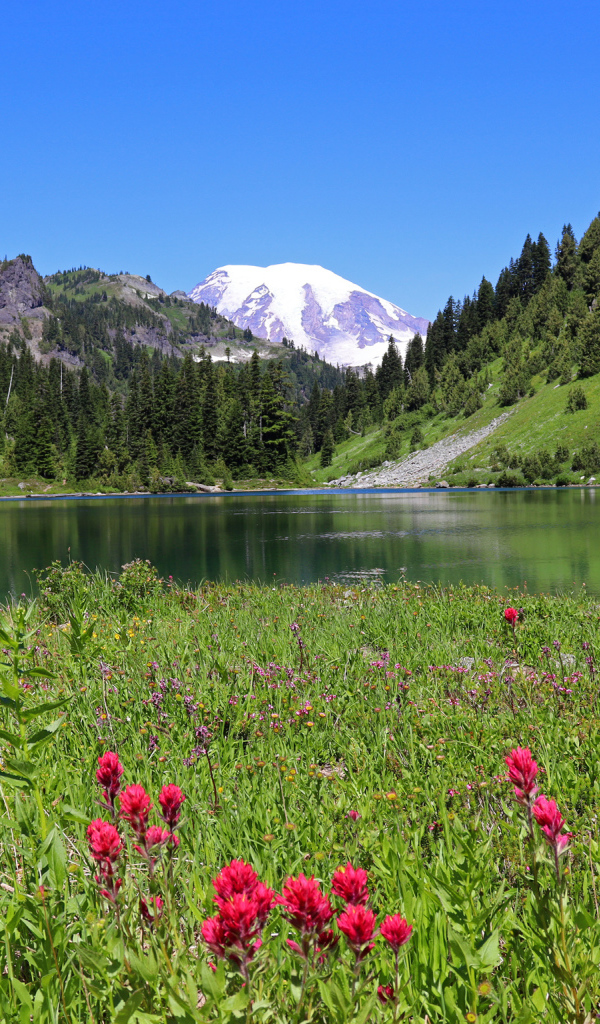 Красивый живописный пейзаж у горного озера 
