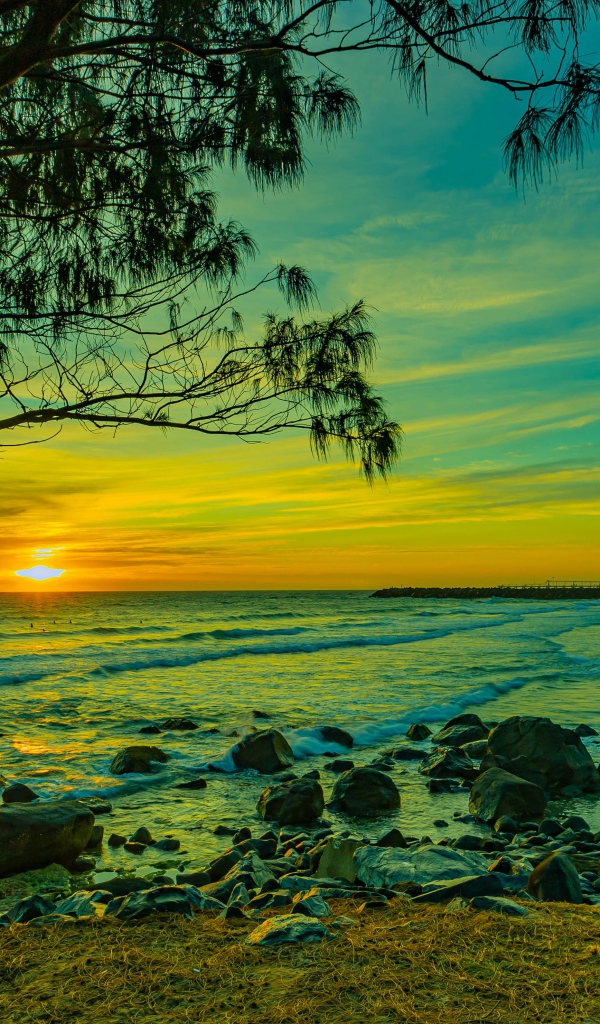 Красивый вид на морской берег с камнями на закате