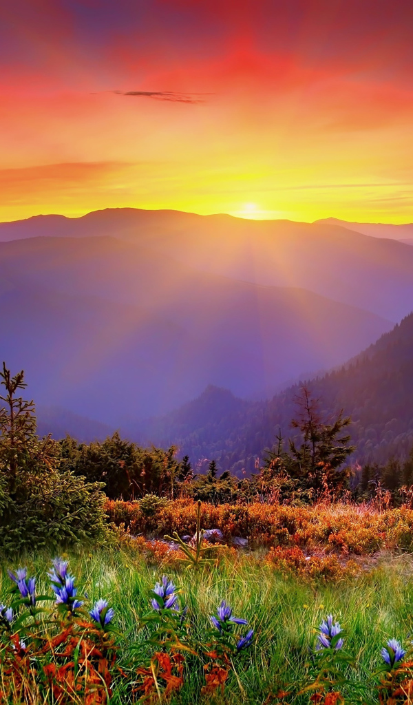 Красивый вид на восход солнца над горами