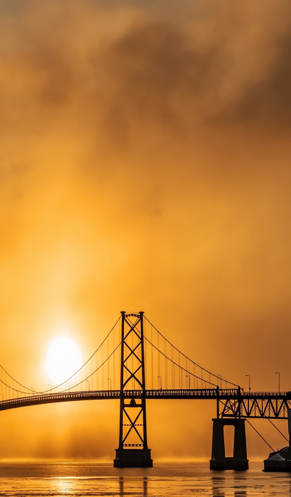 Мост через реку в тумане на восходе солнца