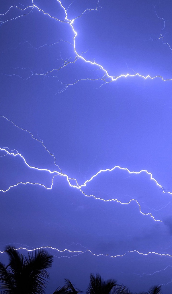 Яркая молния рассекает небо во время тропического шторма