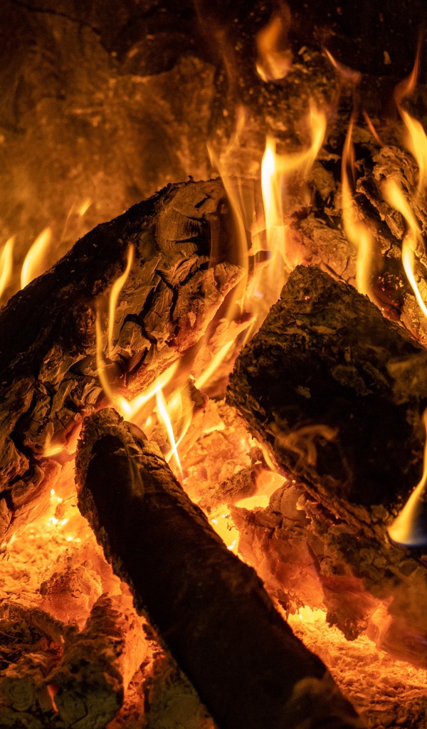 Горящие поленья в камине крупным планом