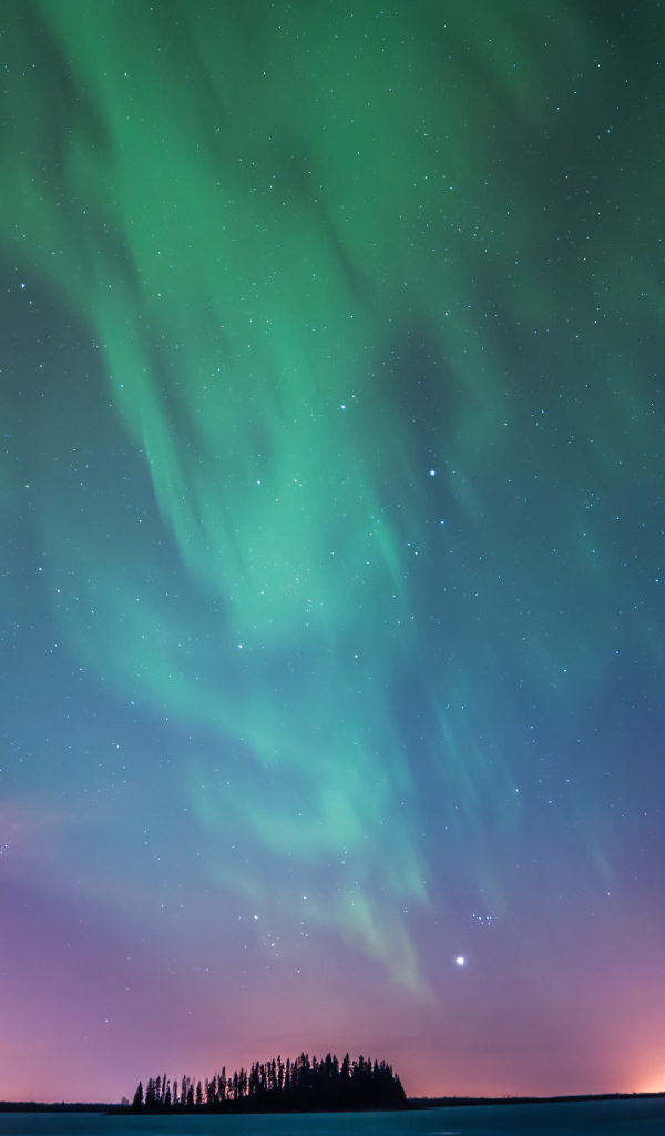Зеленое северное сияние над заснеженным полем