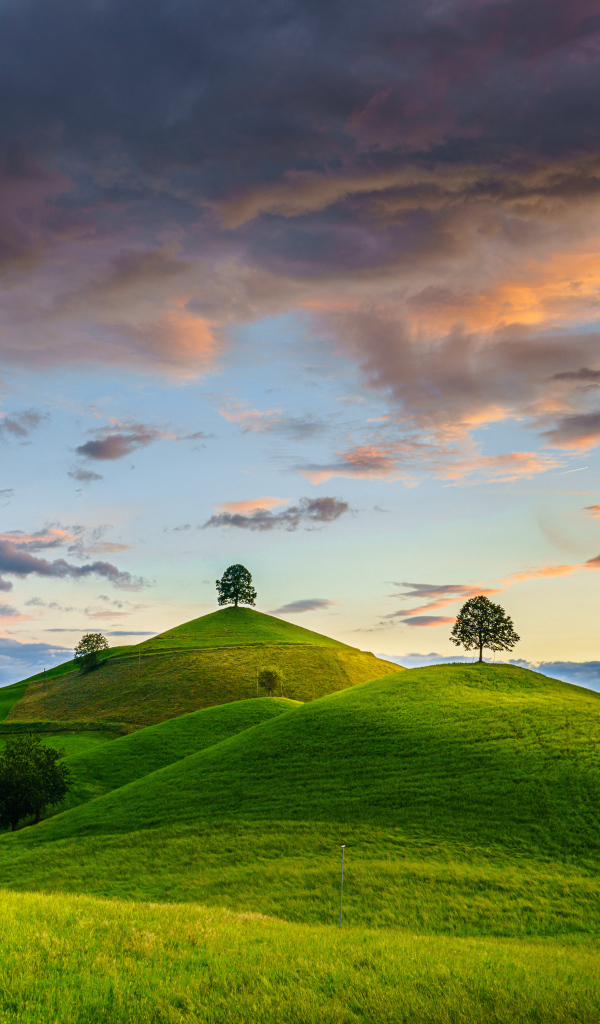 Зеленые холмы с деревьями под небом с грозовыми облаками