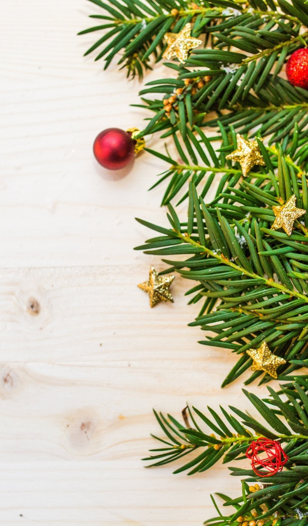 Зеленые ветки ели, шишки и игрушки на белом фоне