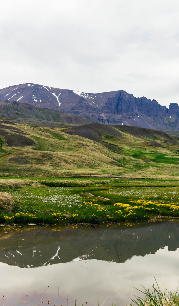 Озеро у холмов с зеленой травой в горах