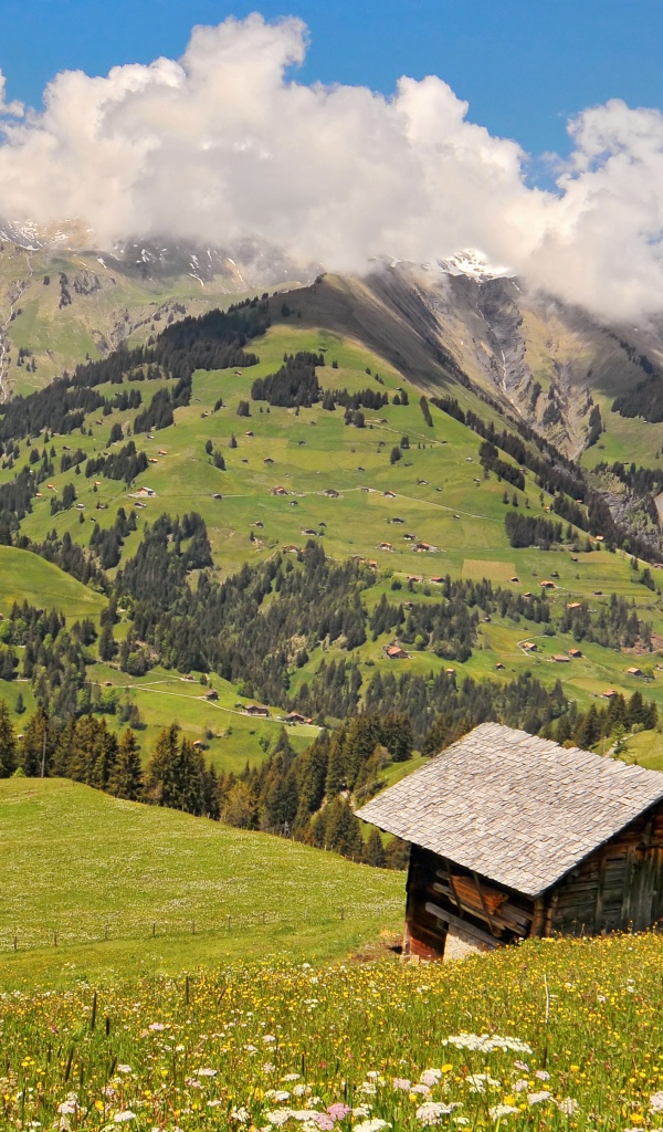 Дом на зеленом холме в горах под белыми облаками