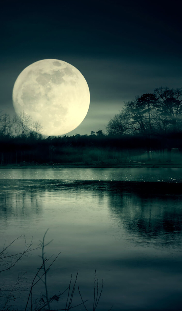 Огромная белая луна над озером ночью