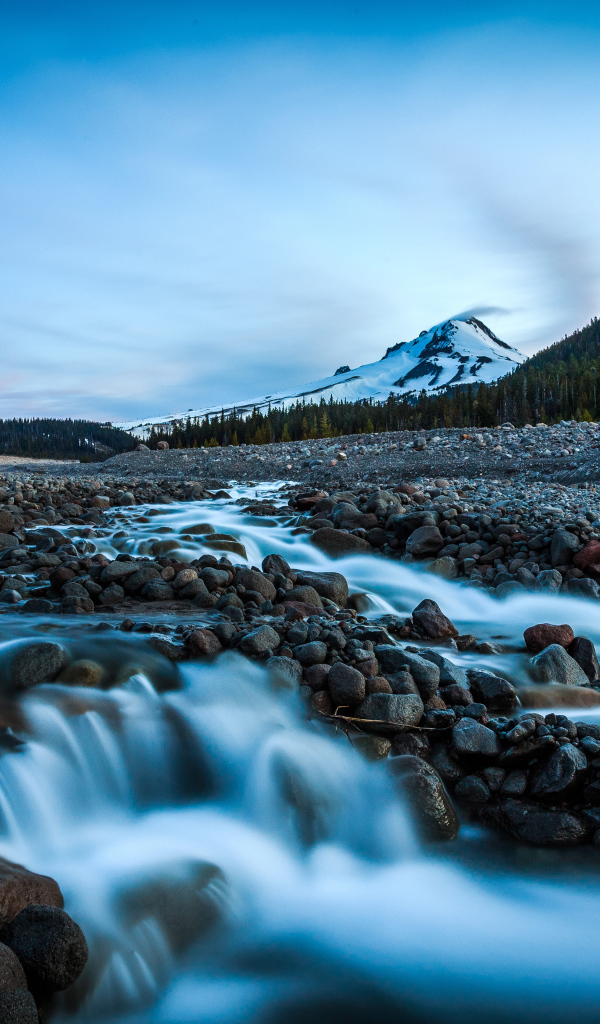 Горная река стекает по камням у леса 