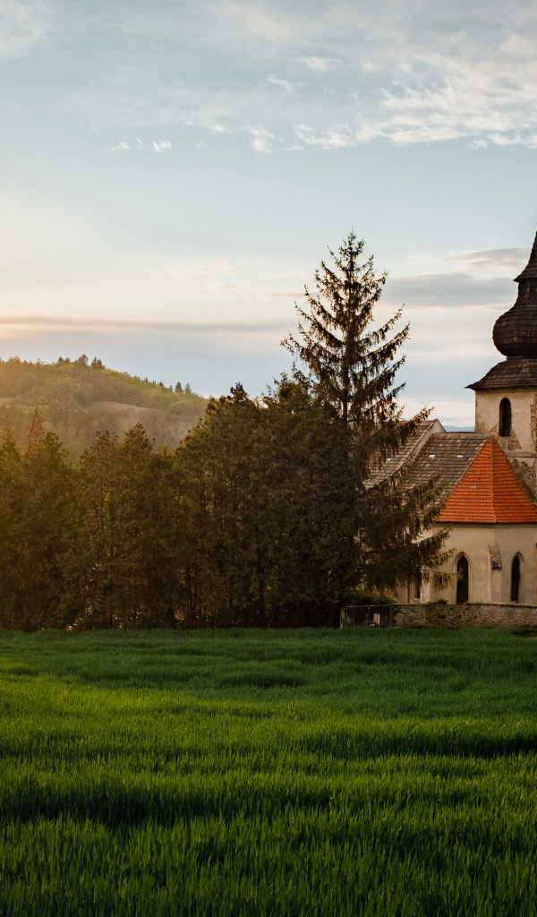 Старая церковь в парке ясным солнечным днем летом