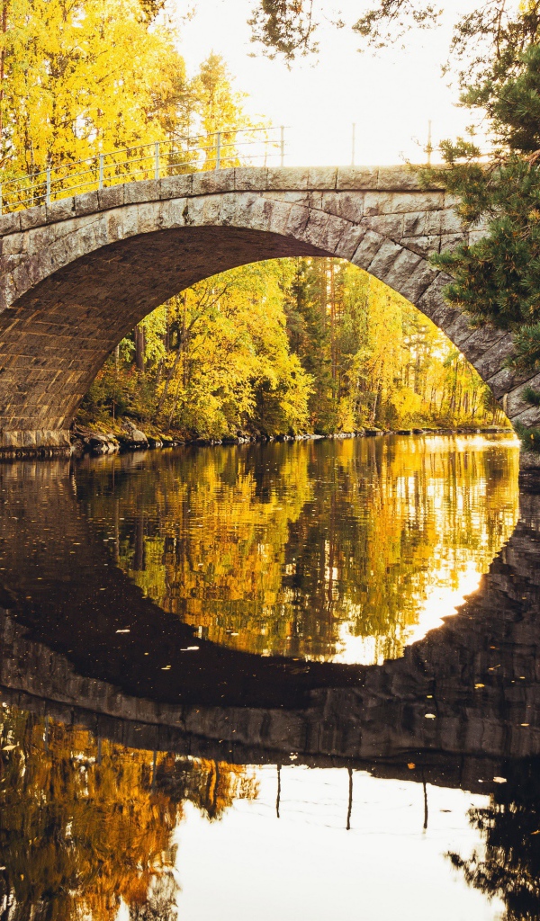 Старый каменный мост через реку в лесу 
