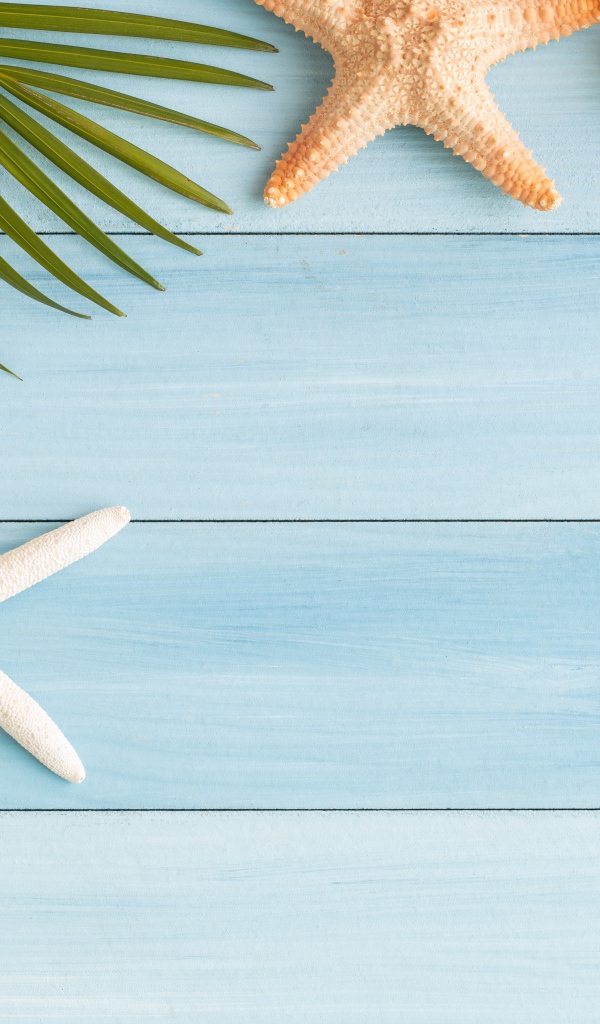 Пальмовый лист на столе с ракушками и морскими звездами 