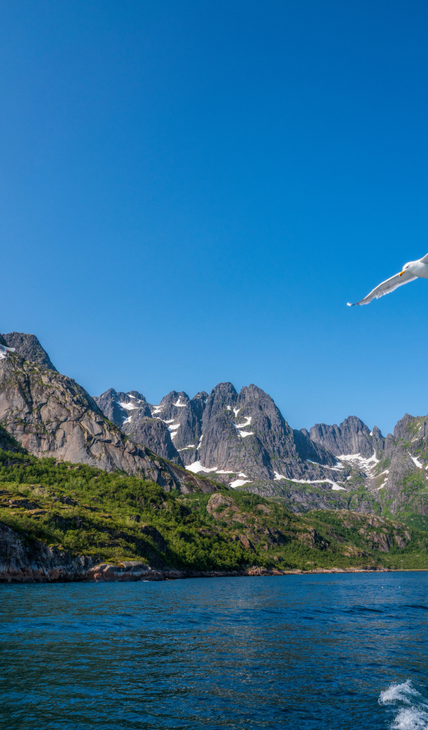 Живописные Лофотенские острова под голубым небом