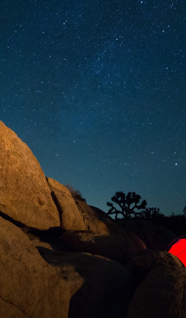 Палатка в горах под звездным небом 