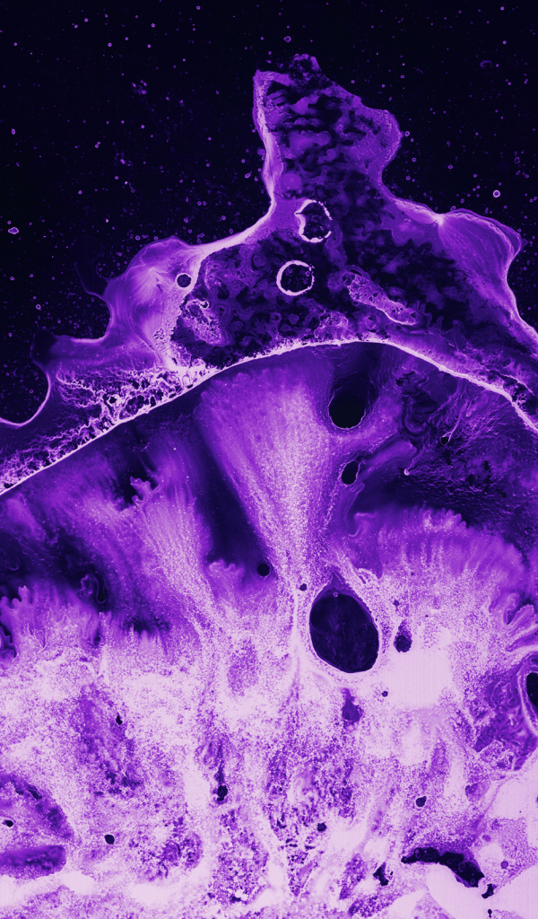Фиолетовый коралл под микроскопом 