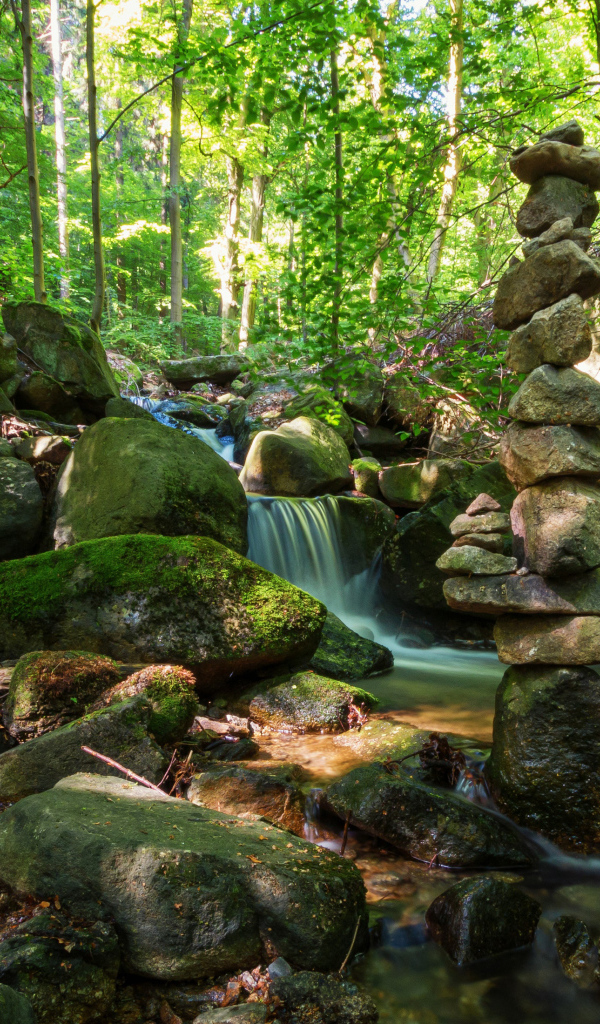 Вода стекает по покрытых мхом камням