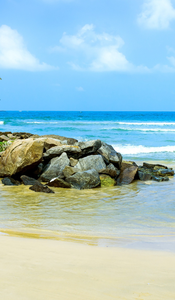 Много камней на берегу тропического пляжа летом