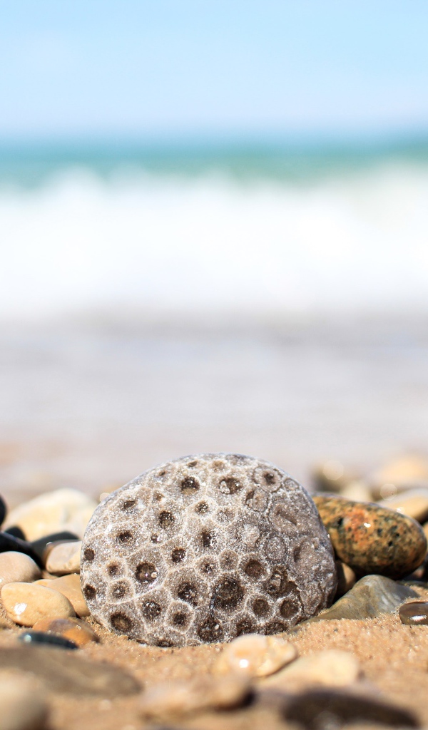 Разные камни лежат на желтом песке у моря 