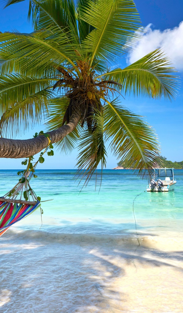 Разноцветный гамак висит на пальме на тропическом пляже 