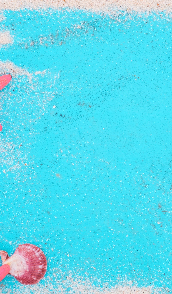 Ракушки и морские звезды с песком на голубом фоне