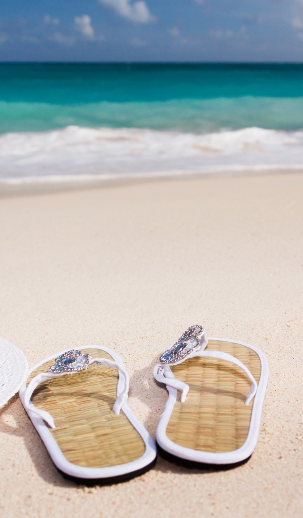 Сланцы, шляпа и ракушка на песке у моря 