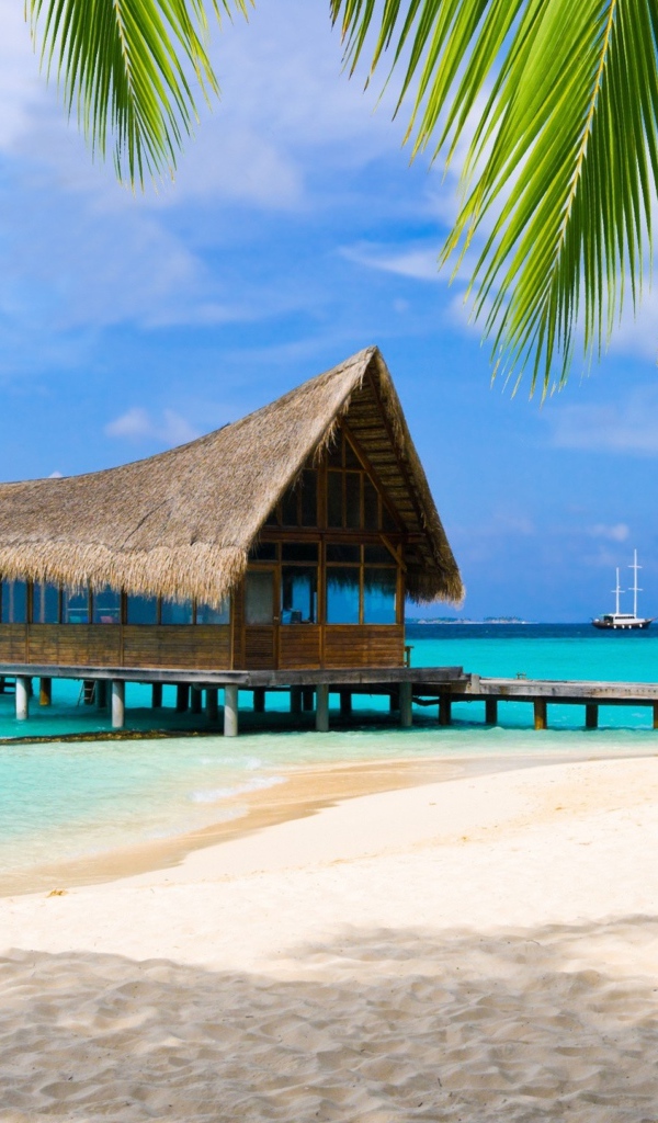 Дом на сваях на берегу тропического пляжа с белым песком