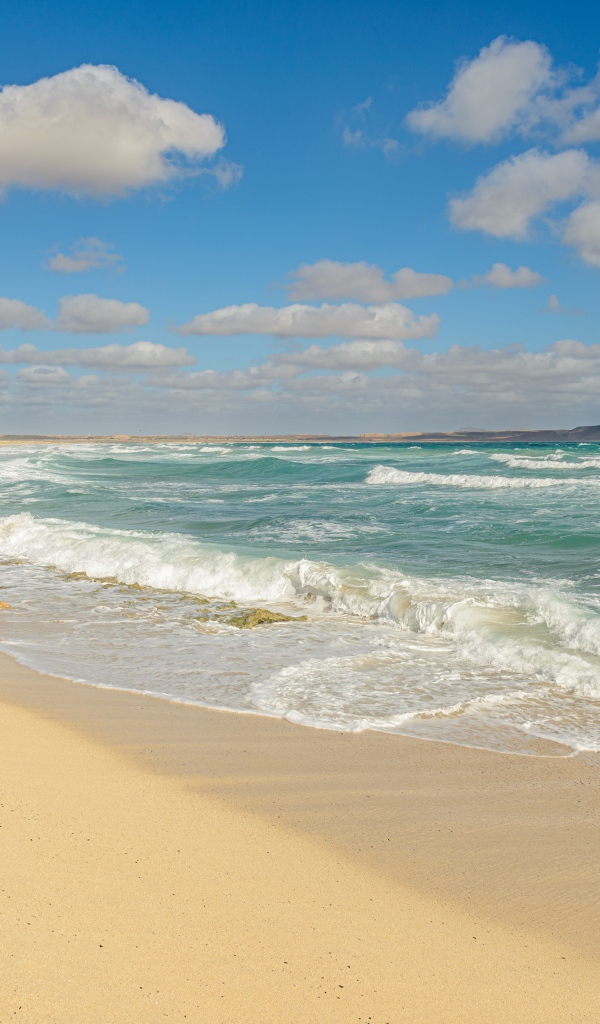 Бушующие морские волны на желтом горячем песке 