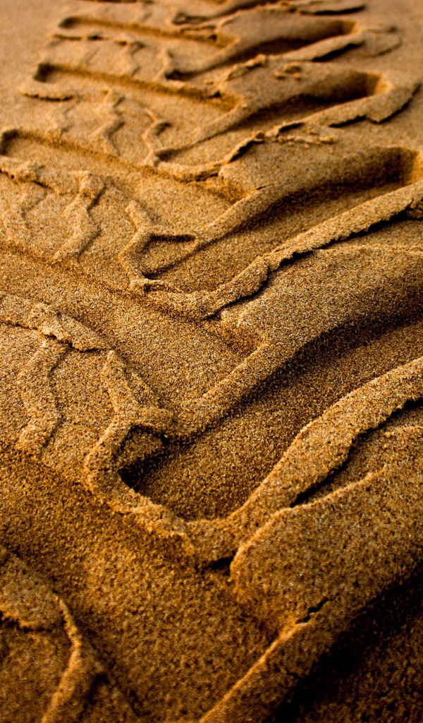 След от колеса трактора на мокром песке