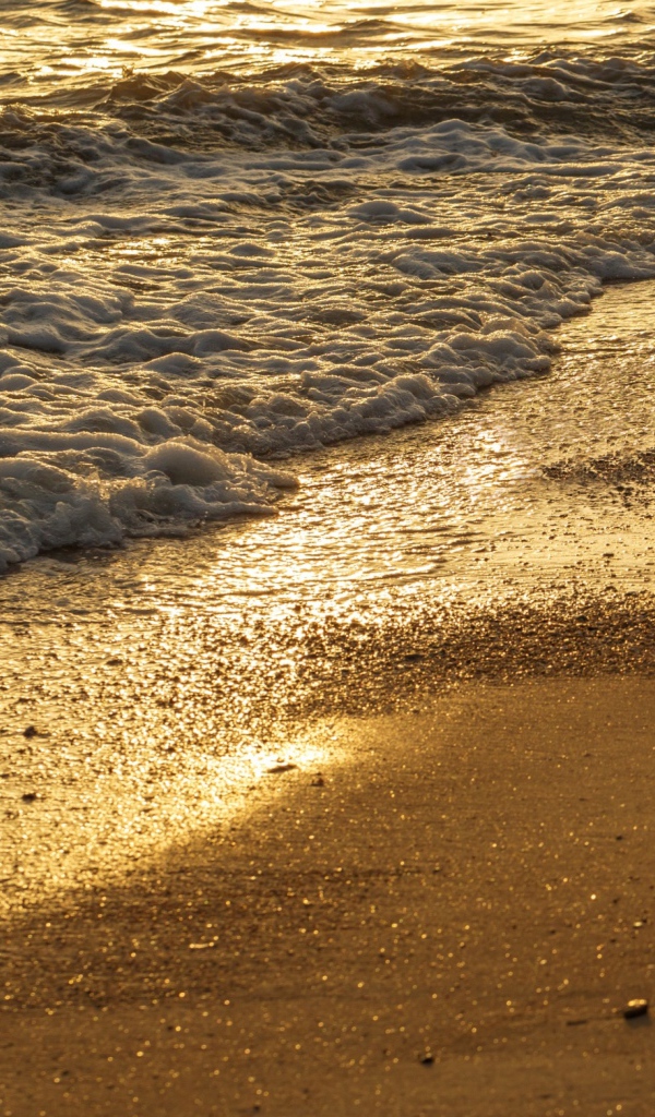 Белая морская пена на желтом мокром песке на пляже